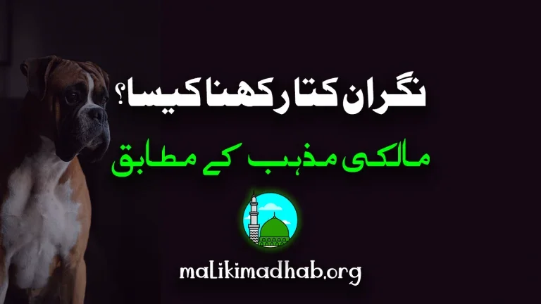 کیا گھر کے اندر نگران کتا (رکھوالی کے لئے) رکھنا جائز ہے؟