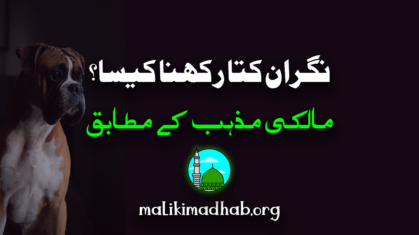 کیا گھر کے اندر نگران کتا (رکھوالی کے لئے) رکھنا جائز ہے؟