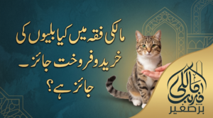 مالکی فقہ میں کیا بلیوں کی خرید و فروخت جائز ہے؟